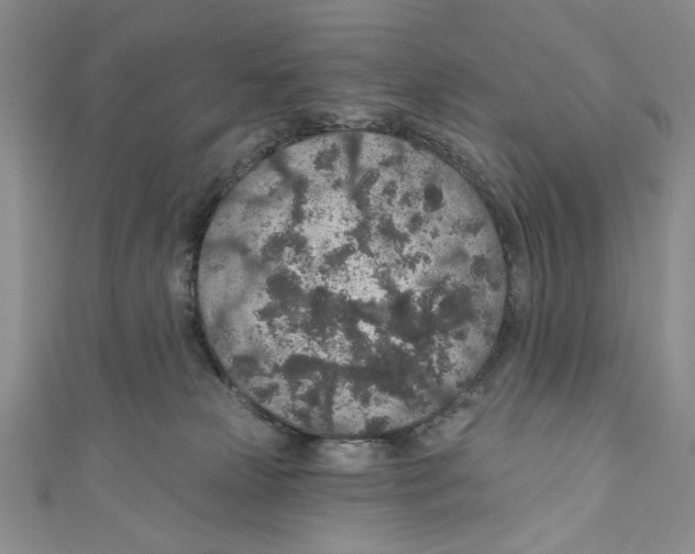 X0000110960181200907171657