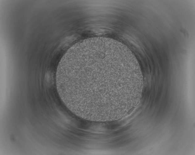 X0000110960182200907171657