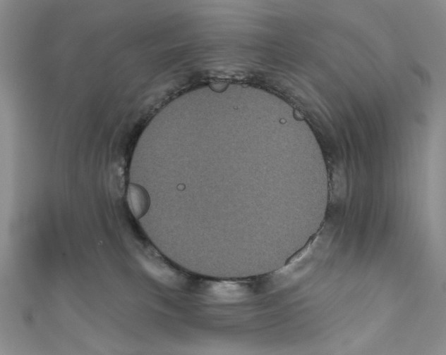 X0000110960183200907171657