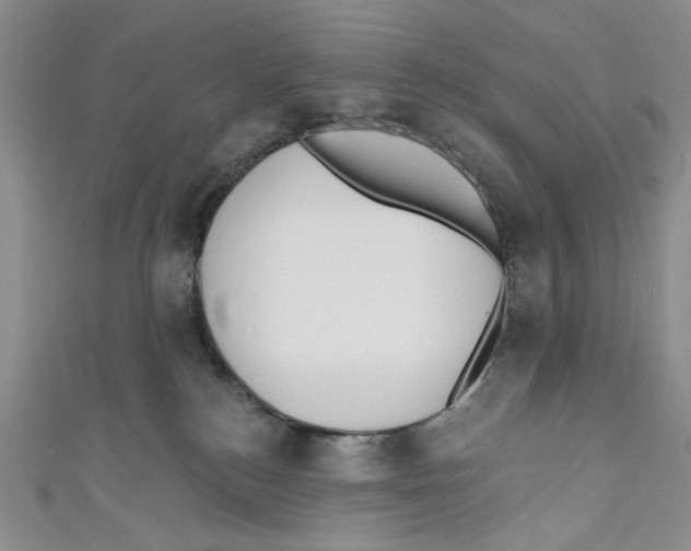 X0000110960184200907171657