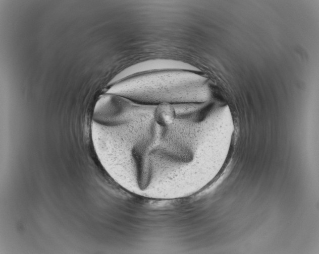 X0000110960186200907171657