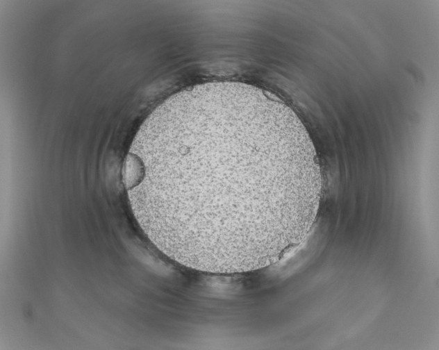 X0000110960187200907171657