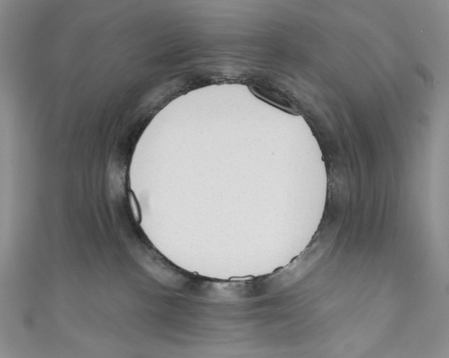 X0000110960188200907171657