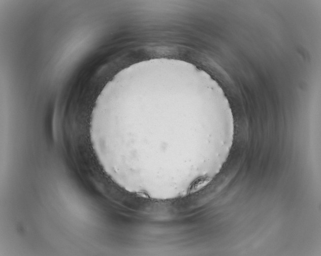 X0000110960189200907171657
