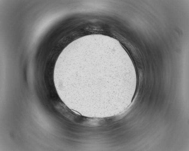 X0000110960190200907171657