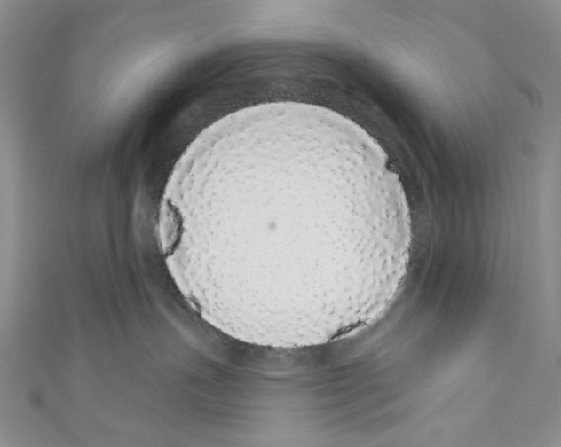 X0000110960191200907171657