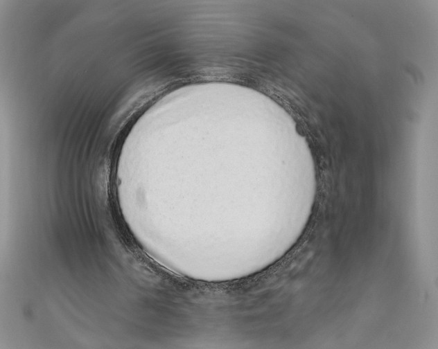 X0000110960194200907171656