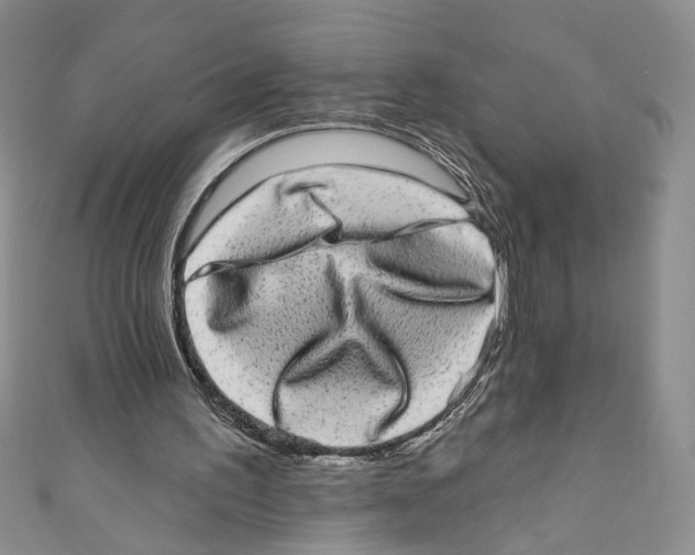 X0000110960195200907171656