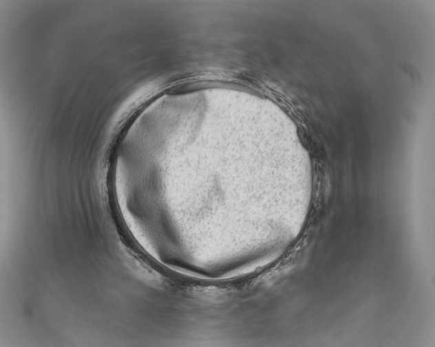 X0000110960197200907171656