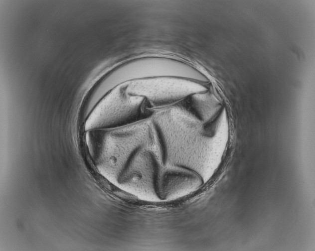 X0000110960199200907171656