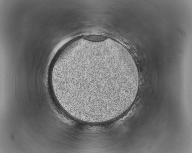 X0000110960200200907171656