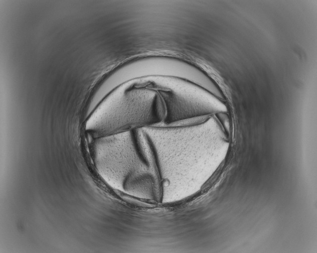 X0000110960201200907171656