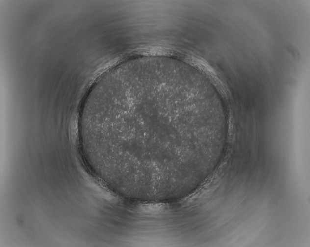 X0000110960202200907171656