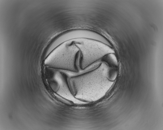 X0000110960203200907171656