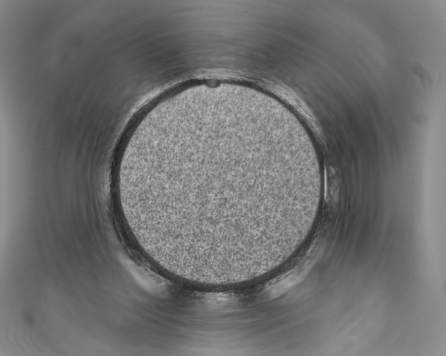 X0000110960204200907171656