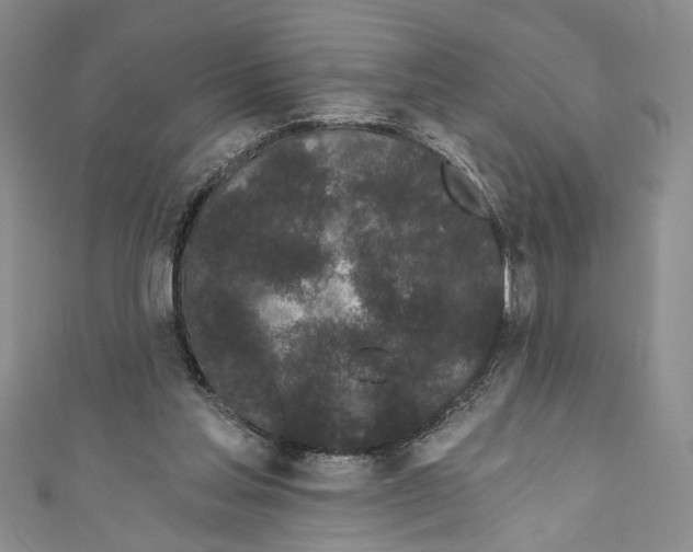 X0000110960205200907171656