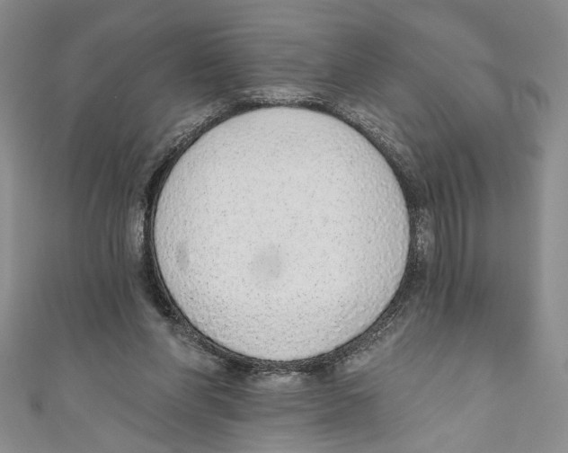 X0000110960206200907171656