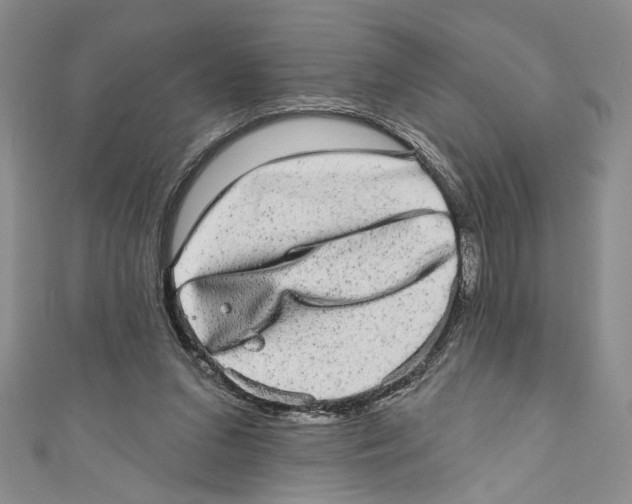 X0000110960207200907171656