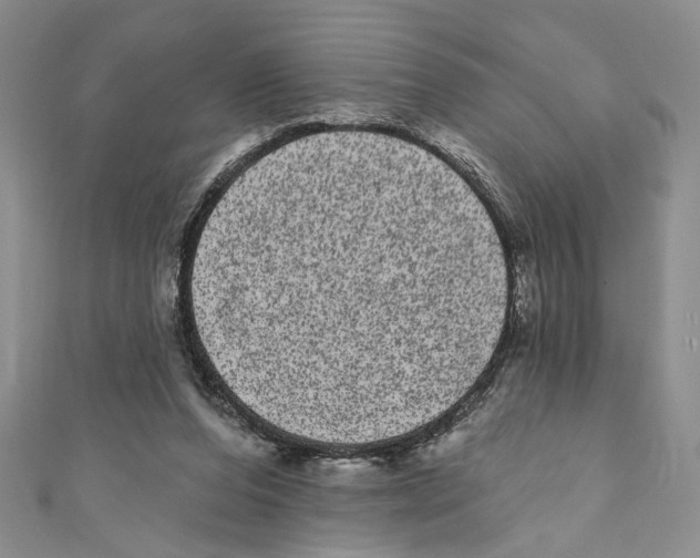 X0000110960208200907171656
