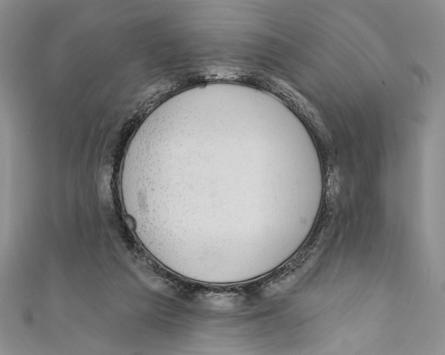X0000110960209200907171656