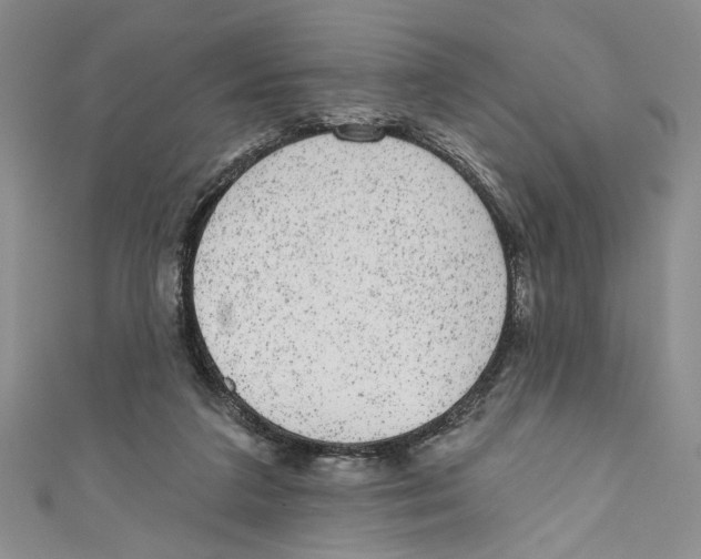 X0000110960211200907171656