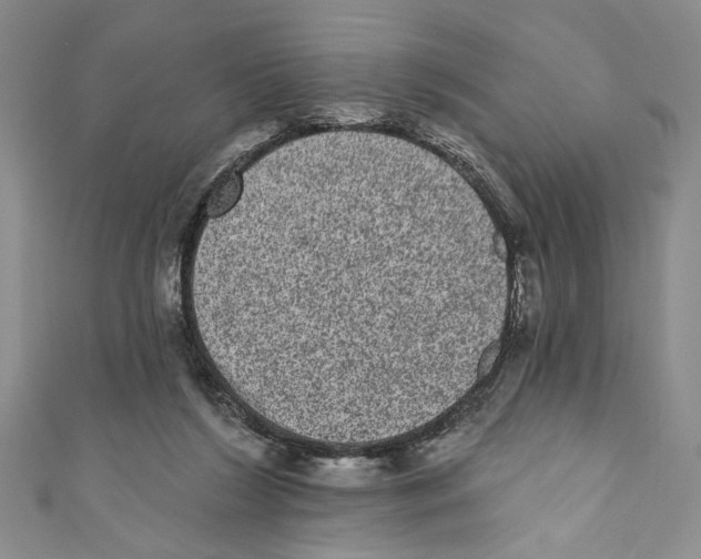 X0000110960212200907171656
