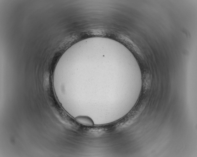 X0000110960213200907171656