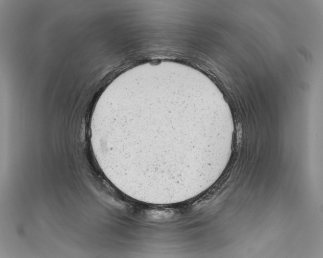 X0000110960215200907171656