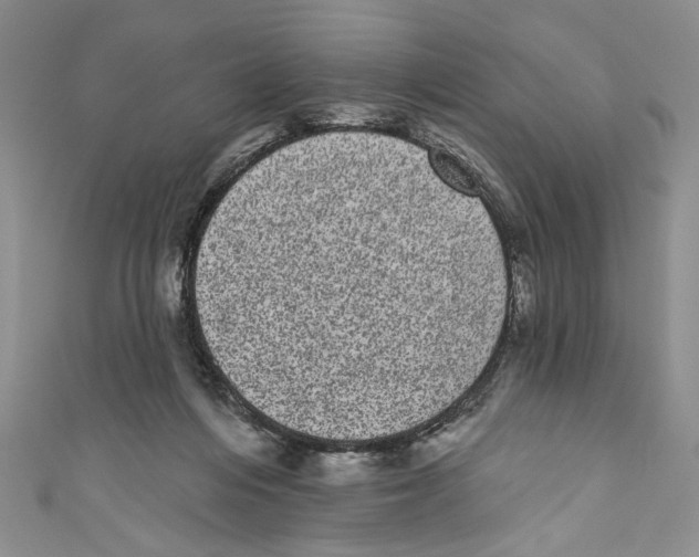 X0000110960216200907171656