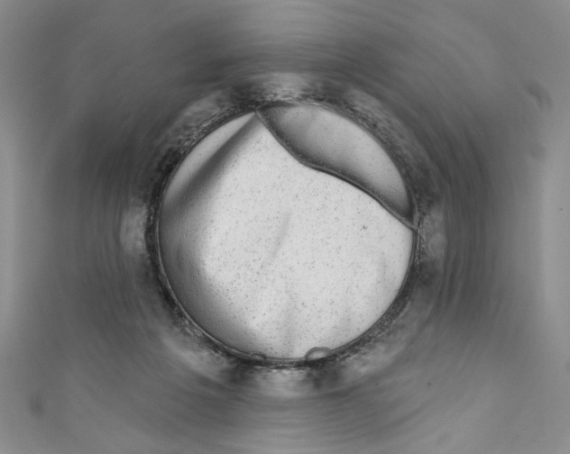 X0000110960217200907171656