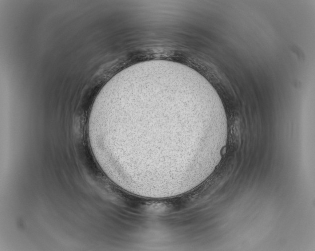 X0000110960218200907171656