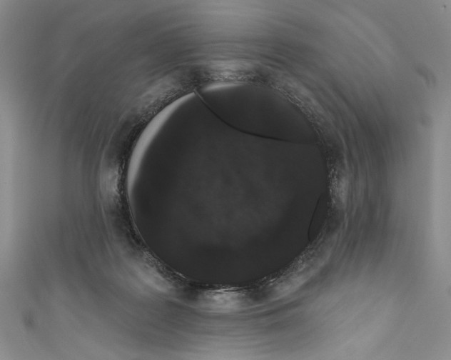 X0000110960219200907171656