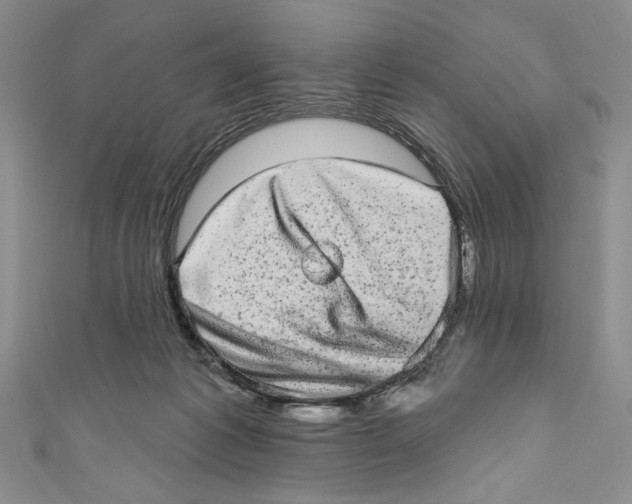 X0000110960221200907171656