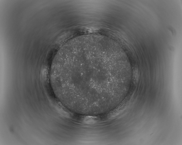 X0000110960222200907171656