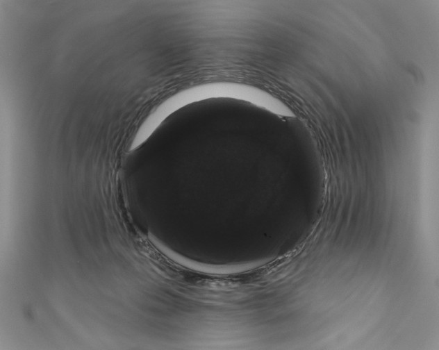 X0000110960223200907171656