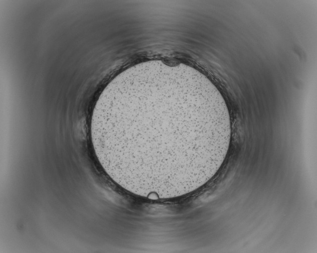 X0000110960224200907171656