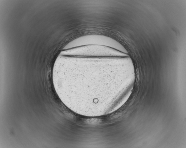 X0000110960225200907171656