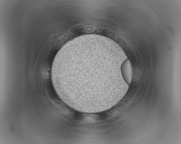 X0000110960226200907171656
