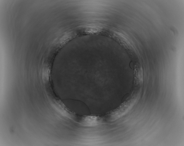 X0000110960227200907171656
