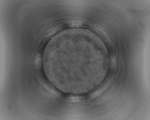 X0000110960228200907171656
