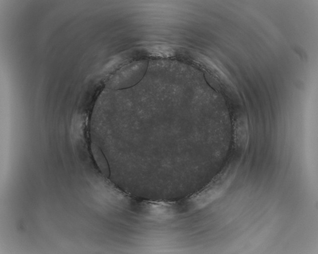 X0000110960229200907171656