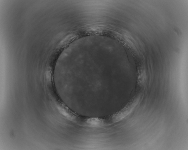 X0000110960231200907171656