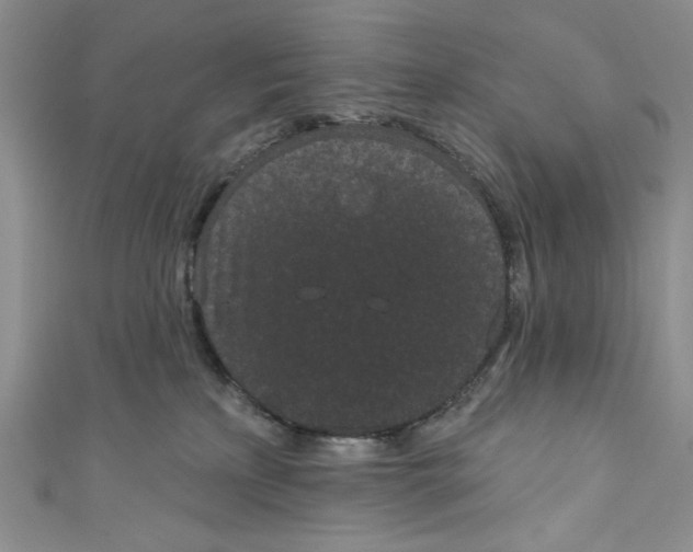 X0000110960233200907171656