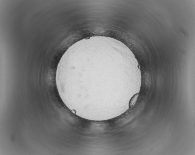X0000110960234200907171656