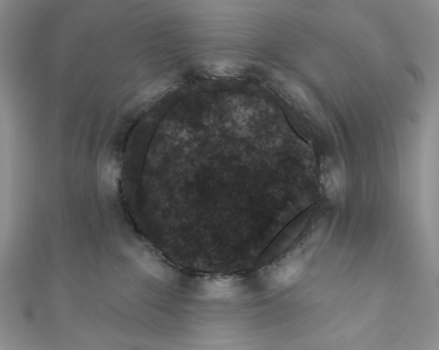 X0000110960235200907171656