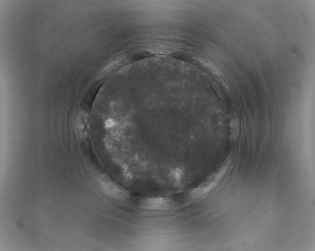 X0000110960237200907171656