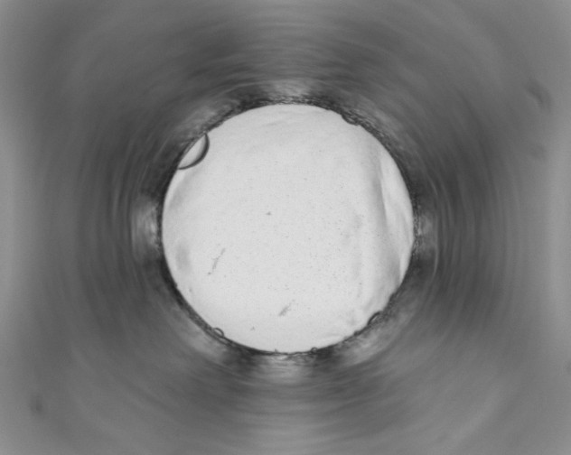 X0000110960238200907171656