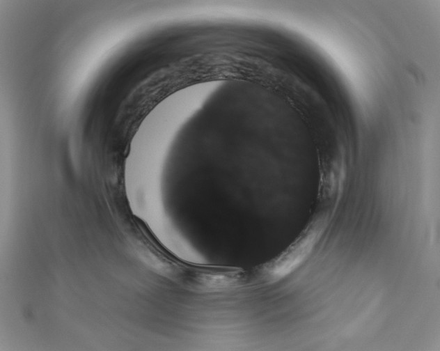 X0000110960239200907171656