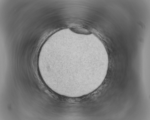 X0000110960241200907171655