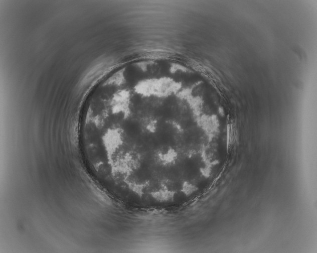 X0000110960243200907171655